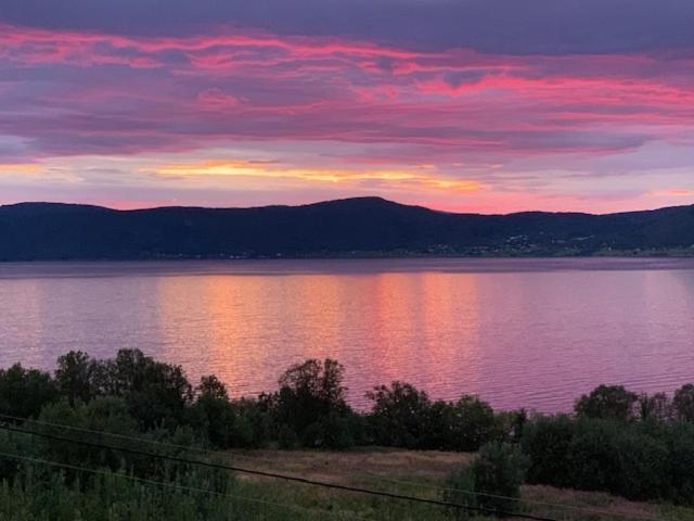 Bed And Breakfast Nordic Horn Brostadbotn Buitenkant foto